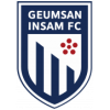 Geumsan Insam