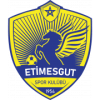 Etimesgut